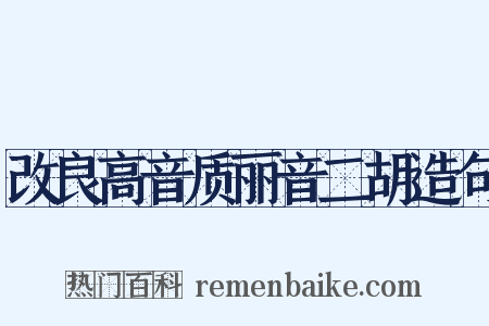 改良高音质丽音二胡造句是什么意思的图片